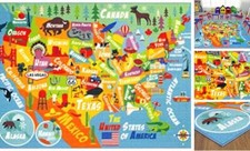 Playtime Collection USA United States Map Educational 3' 3" x 4' 11" Rectangle