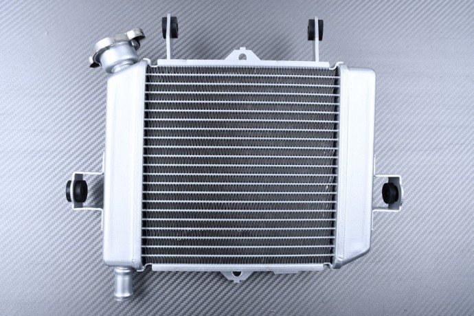 Radiateur eau alu pour Suzuki GSX-S 125 pour réparer une surchauffe moteur WDL0