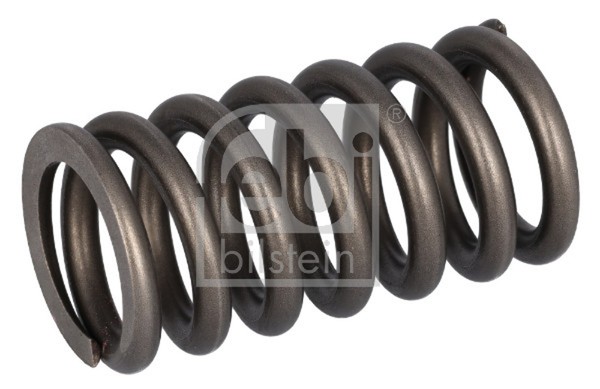 Febi Bilstein Ventilfeder 187756 FüR Volvo FH16 2 3-image