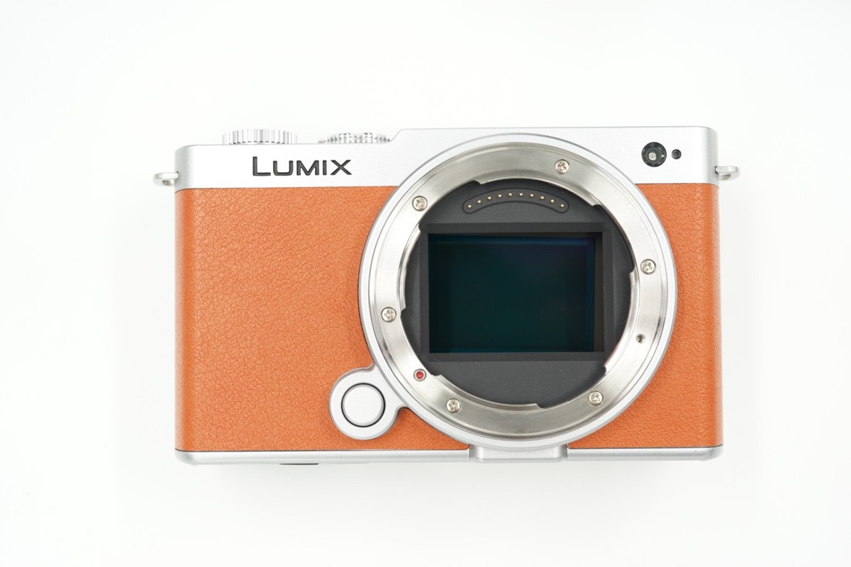 Panasonic Lumix S9 Camera Silver Orange with Pergear Cheecar