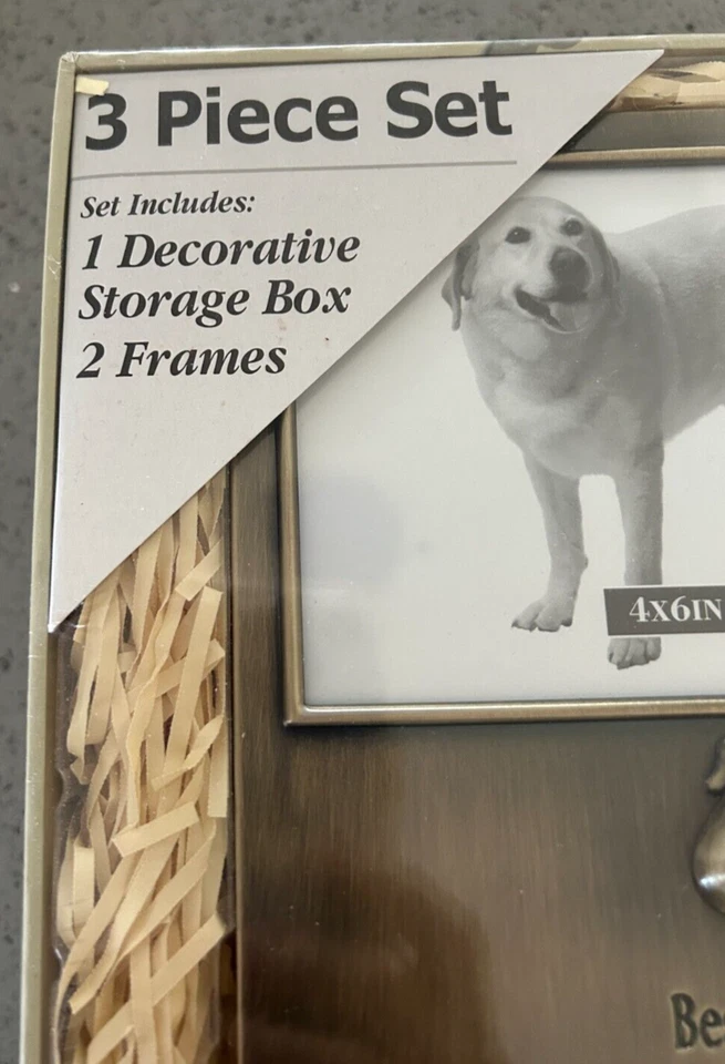 Juego de 3 marcos de fotos de metal para perros mejores amigos con caja de almacenamiento de fotos 2 marcos OB Foto 4 de 4