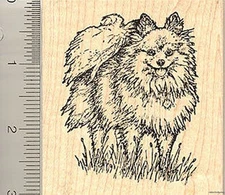Pomeranian Rubber Stamp, Toy Dog, Pom L50316 WM