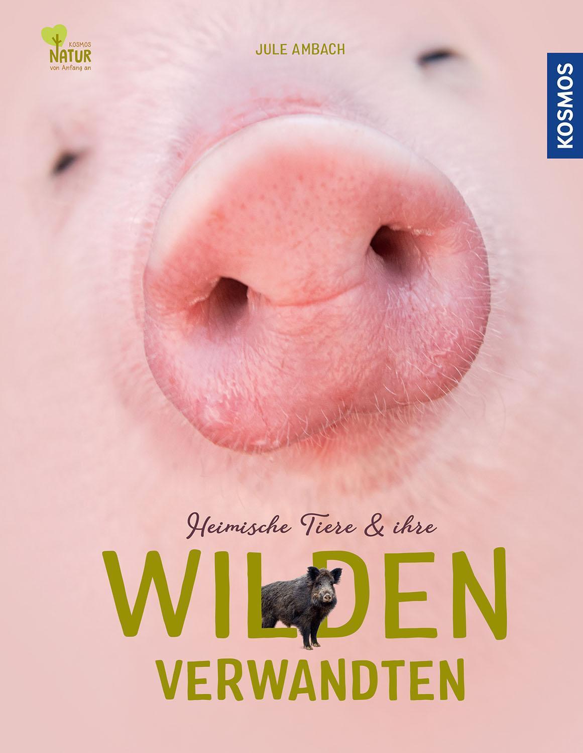 Thumbnail - Jule Ambach Heimische Tiere Und Ihre Wilden Verwandten 9783440172629