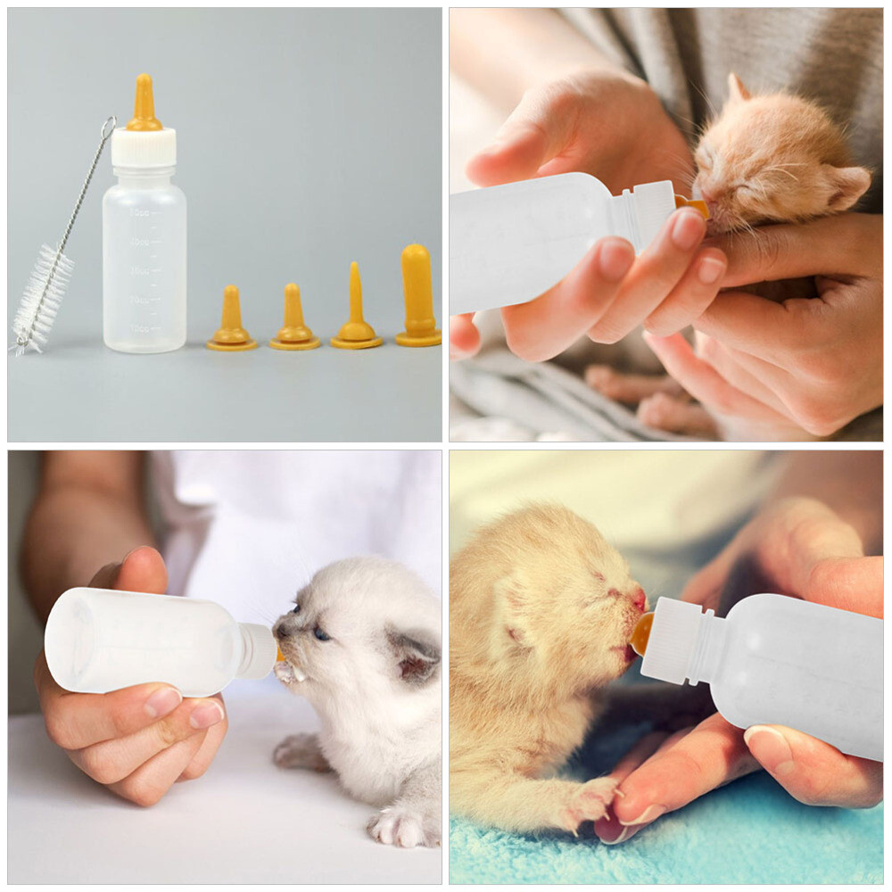 4 Sets Calf Milk Feeder Pet Bottle Dog Bottles for Puppies Gifts to eBay