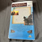 Picture 2 of 5
