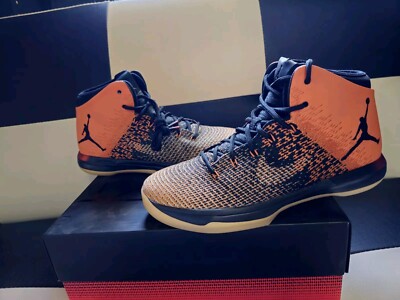 Size 10.5 - Air Jordan 31 Shattered Backboard for sale