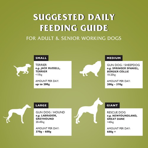 Dr John Hypoallergenic Wheat-Free Dry Dog Food 12.5kg Lamb with Rice - Picture 5 of 6
