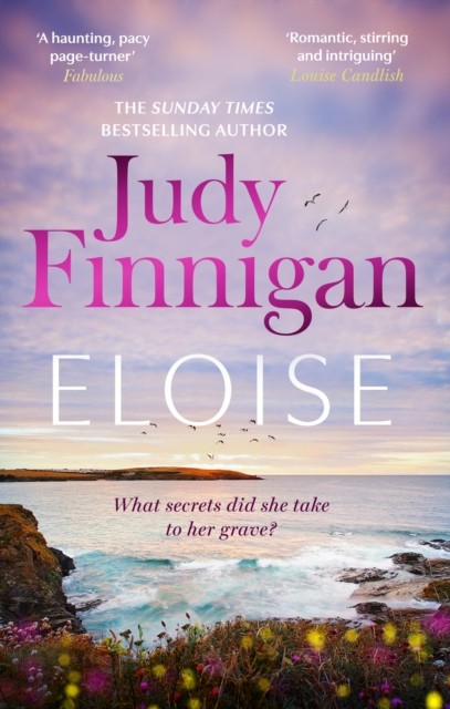 Eloise by Judy Finnigan PAPERBACK 9780751548600