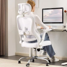 White Ergonomic Office Chair: Mesh Desk Chair Comfy with Adjustable Lumbar Suppo
