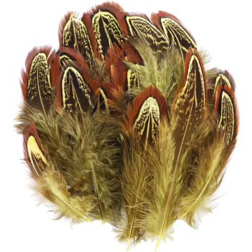 300 Pieces Yellow Feathers for Craft Wedding Home Party Decorations 2-3 Inche...