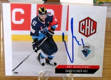CHL - 2015-16 - David Elsner - ERC Ingolstadt #079 - Signed