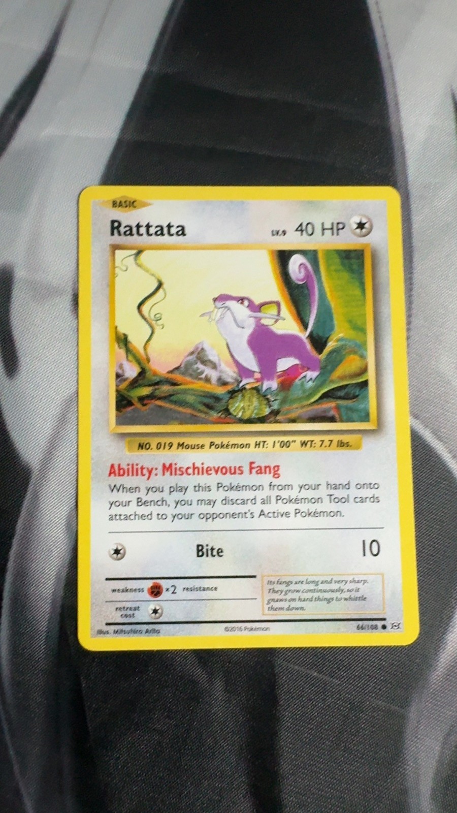 Rattata 66/108 Common Evolutions Pokemon Near Mint