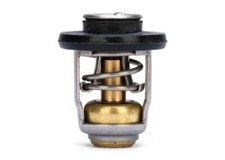 8M0119207 - TERMOSTATO 60° MERCURY