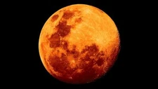 ORANGE FULL MOON GLOSSY POSTER PICTURE BANNER PRINT PHOTO red wildfire 7716