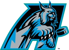 Augusta Lynx Defunct ECHL Hockey Mens Polo XS-6X, LT-4XLT Tampa Lightning New