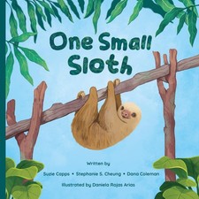 One Small Sloth