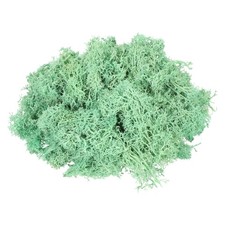 3oz Preserved Reindeer Moss, Green Decorative Artificial Fake Moss