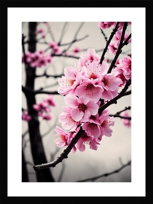 Bold Cherry Blossom Branch Framed Wall Art Poster Canvas Print Picture