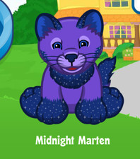 Webkinz Midnight Marten Virtual Adoption Code Only Messaged Webkinz Weasel Code 