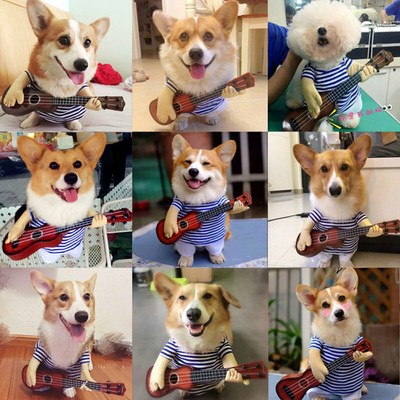 Funny Pet Guitarist Costume - Dog Puppy Cat Cosplay Clothes, Halloween Suit, Blue Cotton