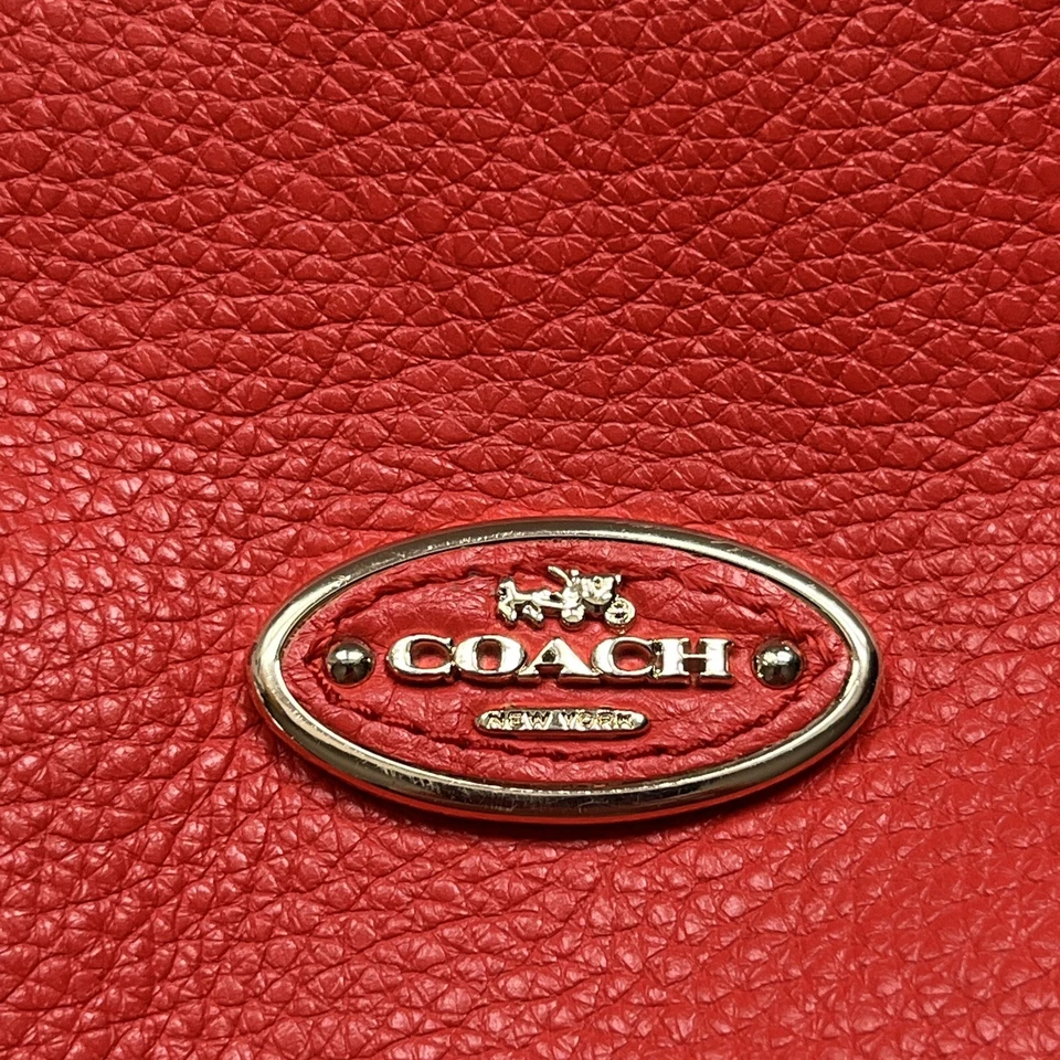 Bolso de Mano Coach Isabelle Cuero Guijarro Hobo Scout Bandolera Cartera Naranja Quemado Foto 3 de 4