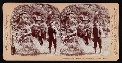 Photo:Making hay - in the Grondals-Elv Valley, Norway 1903