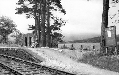 GLAN LLYN HALT (Flagge) Bahnhof (Gwynydd Wales) Eisenbahn Foto #069
