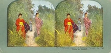 TALL REEDS AT NIOGISHI stereoscopic card YOKOHAMA Japan