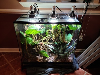 Exo Terra Reptile Glass Natural Large X-Tall Terrarium 36''x 18''x 36''