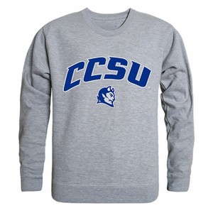 ccsu sweatshirt