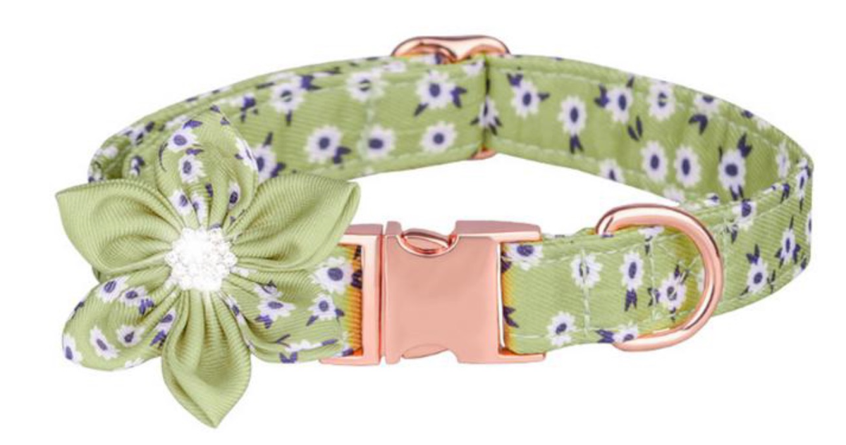 Dog Collar Spring Green Flower w Removable Bow Rhinestone Rose