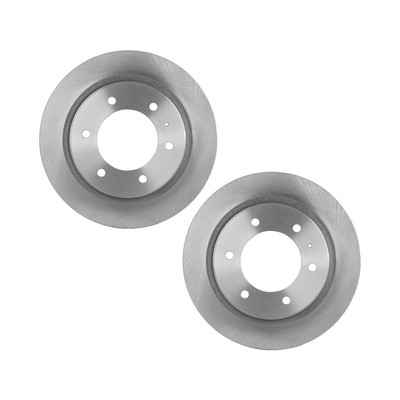 For Isuzu Axiom 2002 2003 2004 Brake Discs Rear | Pair | Cast Iron | Natural