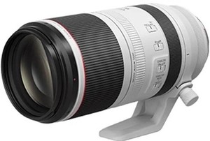 Canon RF 100-500mm f4.5-7.1L IS USM Photography Camera Lens