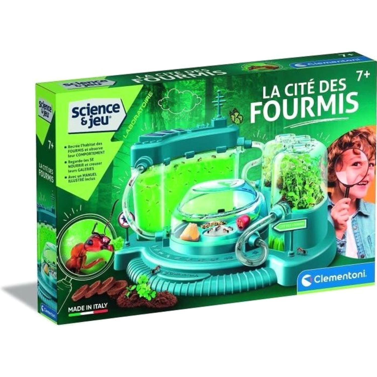 Jeu de science observatoire de fourmis avec gel nutritif transparent