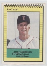 1991 ProCards Minor League Garry Roggenburk #3288 0a2