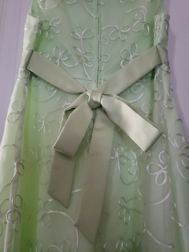 Rare Editions Size 10 Green Sleeveless Dress Soutache NWOT - Picture 7 of 8