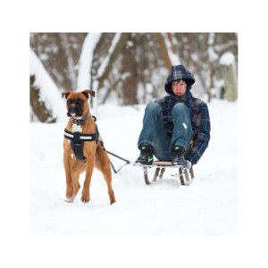 julius harness size 0