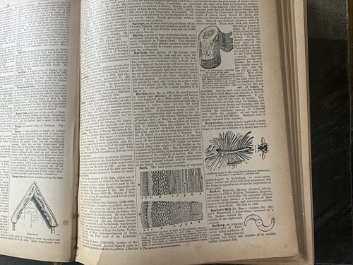 Rand McNally & Co’s Encyclopedia And Gazetteer 1894 Illustrated HB Book - Bild 7 von 17