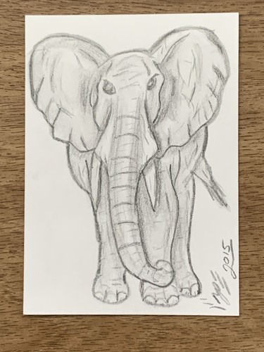 Elephant Original ACEO  Art Card Pencil Drawing Signed in Magnetic Top Loader