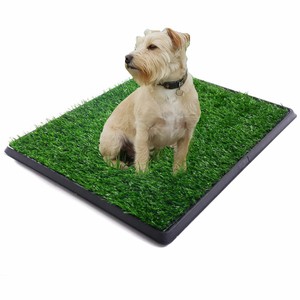 indoor grass pee pad