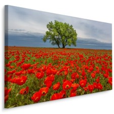 Canvas picture canvas wall art XXL poppy field tree landscape 3D 1725