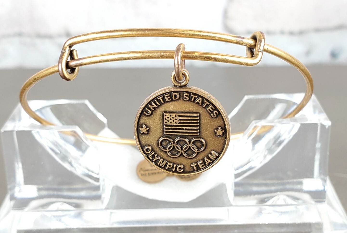 ALEX and ANI US Olympic Team 2012 Charm Expandable Bangle Gold-Tone B