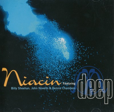 Niacin - Deep / Billy Sheehan Dennis Chambers / Japan CD / Jazz Rock Fusion