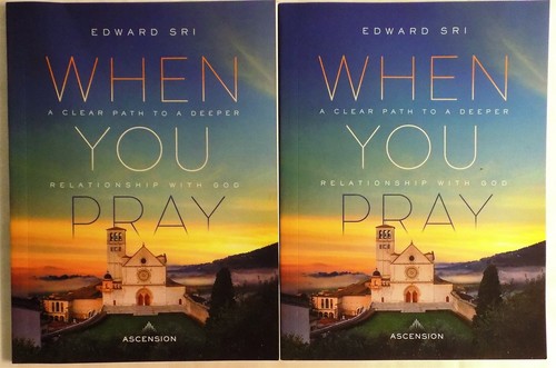 LOT OF 2: When You Pray Workbook Ascension Edward Sri Paperback 2023