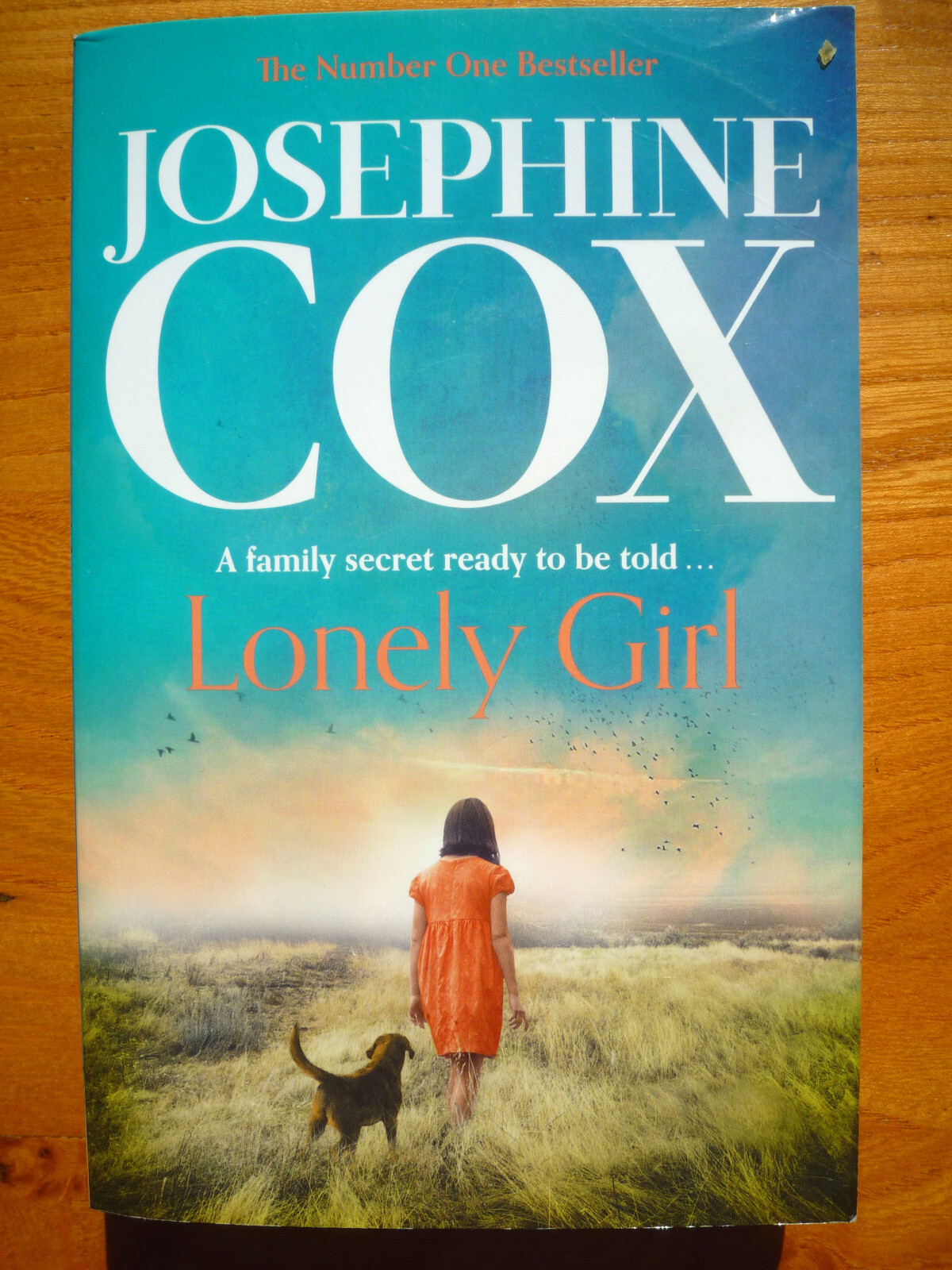 Lonely Girl: by Josephine Cox (Paperback) Used - Very Good