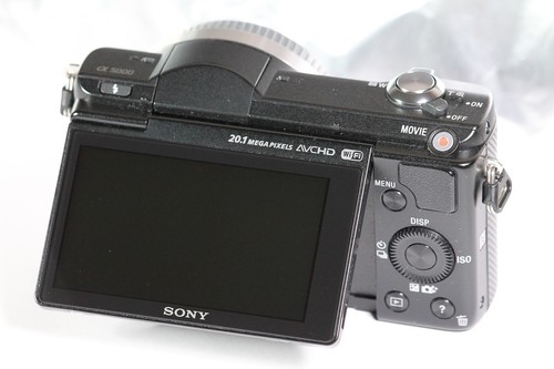 Infrarossi 720 nm Sony A5000 20,1 MP CSC ILCE-5000L E-Mount Ghost Hunting - Foto 7 di 7