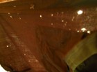 Bild 11 von 13