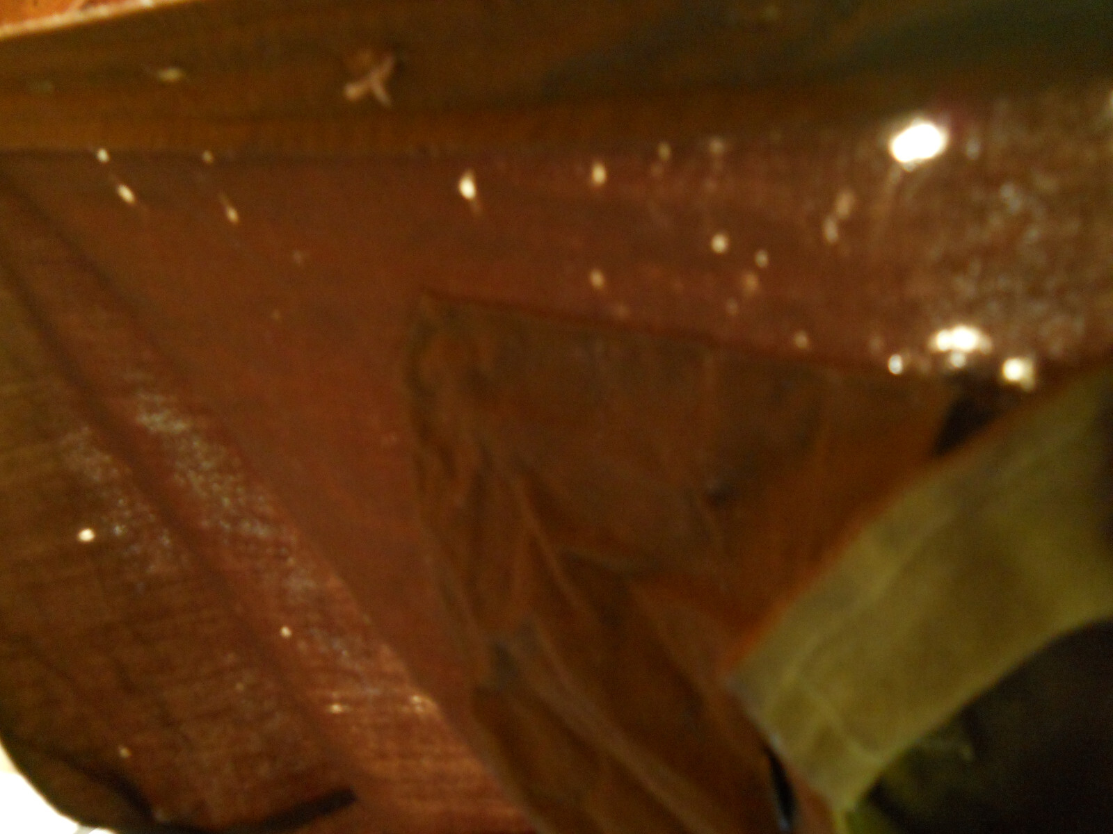 Bild 11 von 13