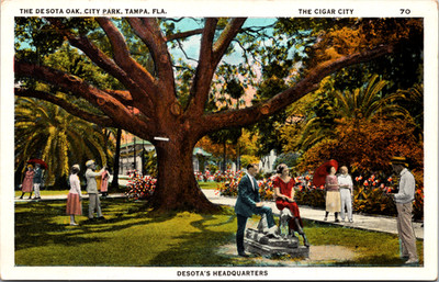 Postcard The Desota Oak City Park Tampa Florida Desota's Headquarters People