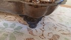 Foto 10 di 14